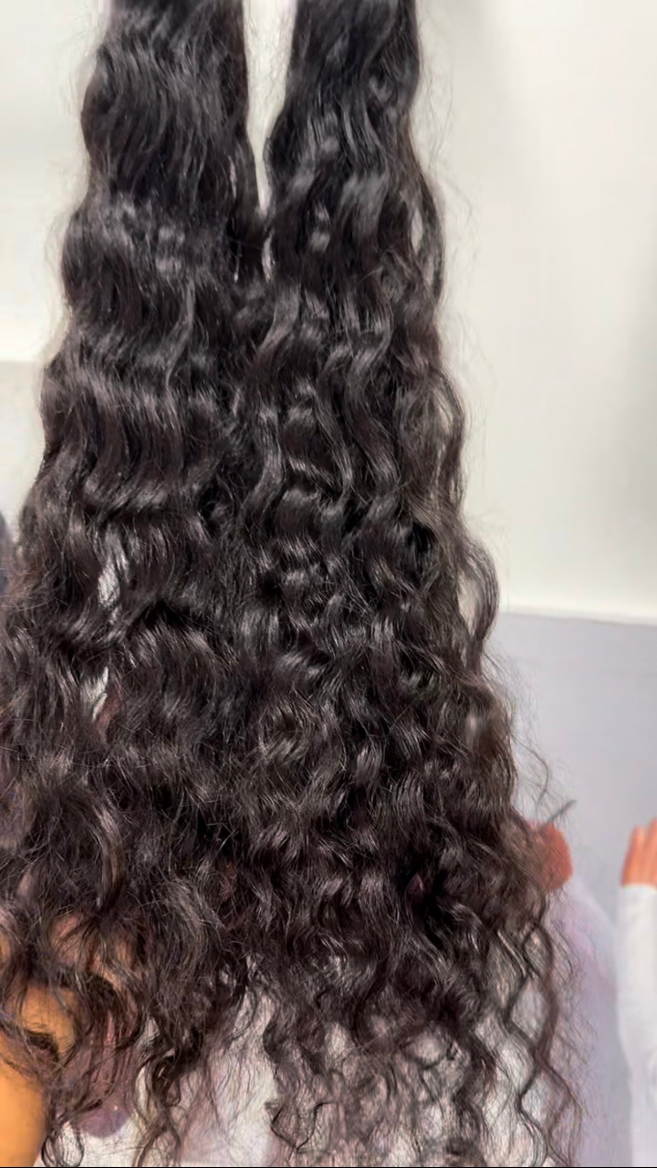 Indian Curly